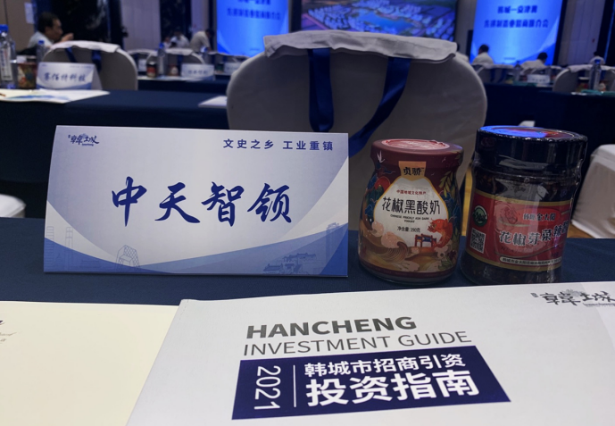 中天智领