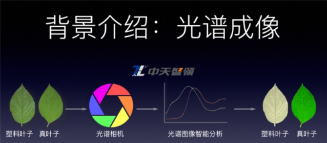 光谱成像