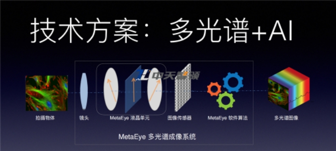 多光谱+AI