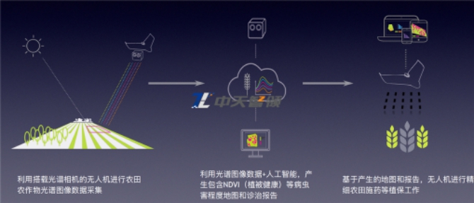 精准农业