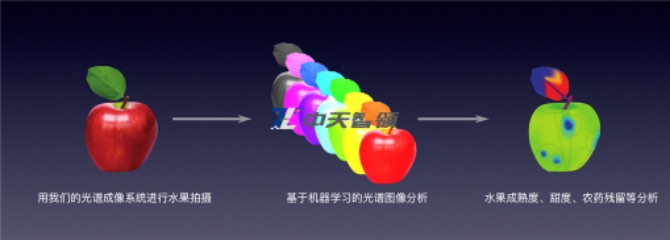 食品检测